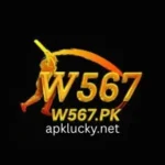 W567 Game