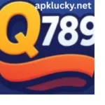 Q789 Game apk